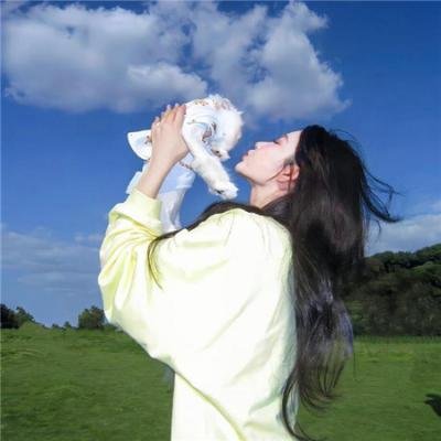 芝加哥警署第八季